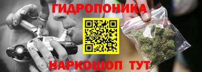шишки Ликино-Дулёво