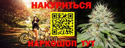 мяу мяу мука Лесосибирск