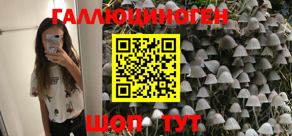 Псилоцибиновые грибы Psilocybe  Вход с VPN  Озёры 